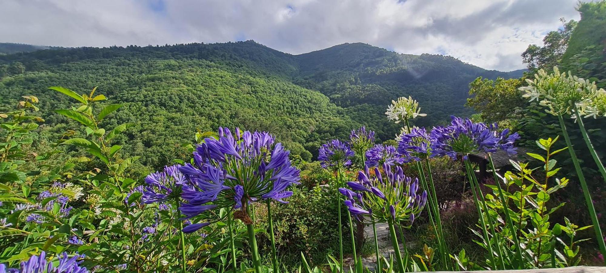 Apartamentos Rurales El Bosque De Las Vinas Boal エクステリア 写真