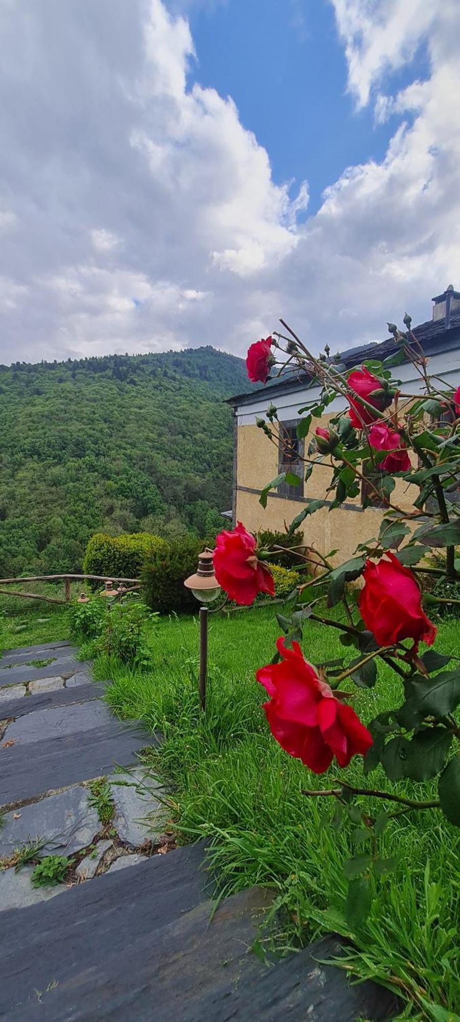Apartamentos Rurales El Bosque De Las Vinas Boal エクステリア 写真